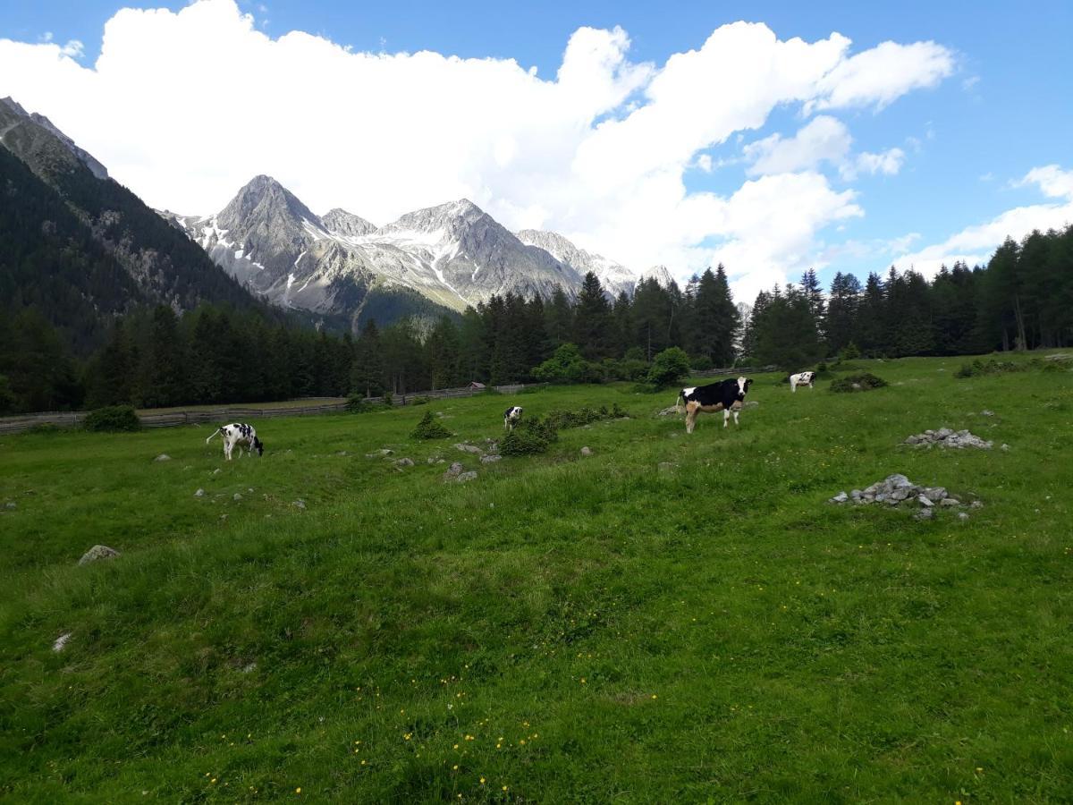 Unterreinischhof Villa Anterselva di Mezzo Exterior foto